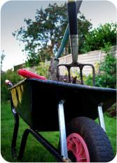 The Holyrood Gardener in Edinburgh provides great value Gardening Services
